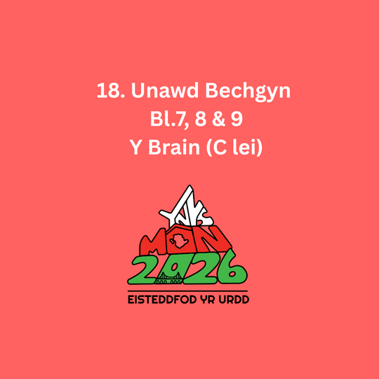 18. Unawd Bechgyn  Bl.7, 8 & 9 Y Brain (C lei)