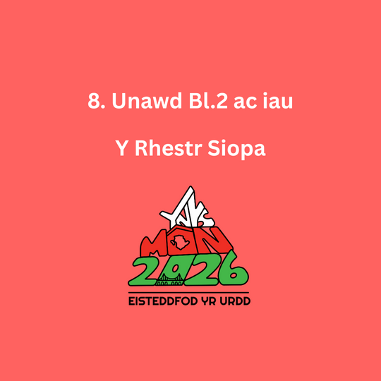 8. Unawd Bl.2 ac iau, Y Rhestr Siopa