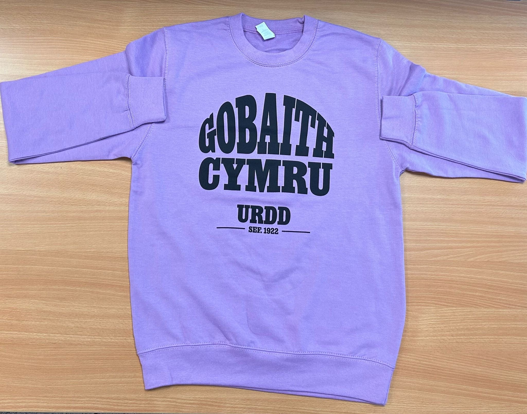 'Gobaith Cymru' Adult Sweatshirt